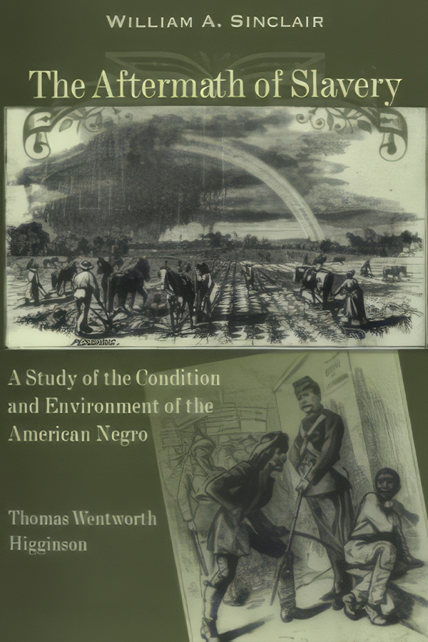 The Aftermath of Slavery - book cover